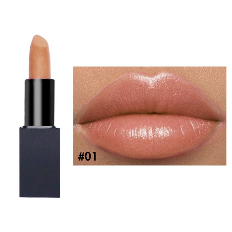 21 color black tube magnetic buckle lightweight moisturizing lipstick