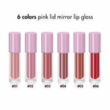 6 Colors Pink Lid Mirror Lip Gloss